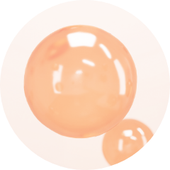 ingredient