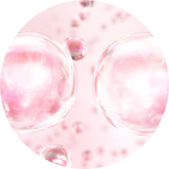 ingredient